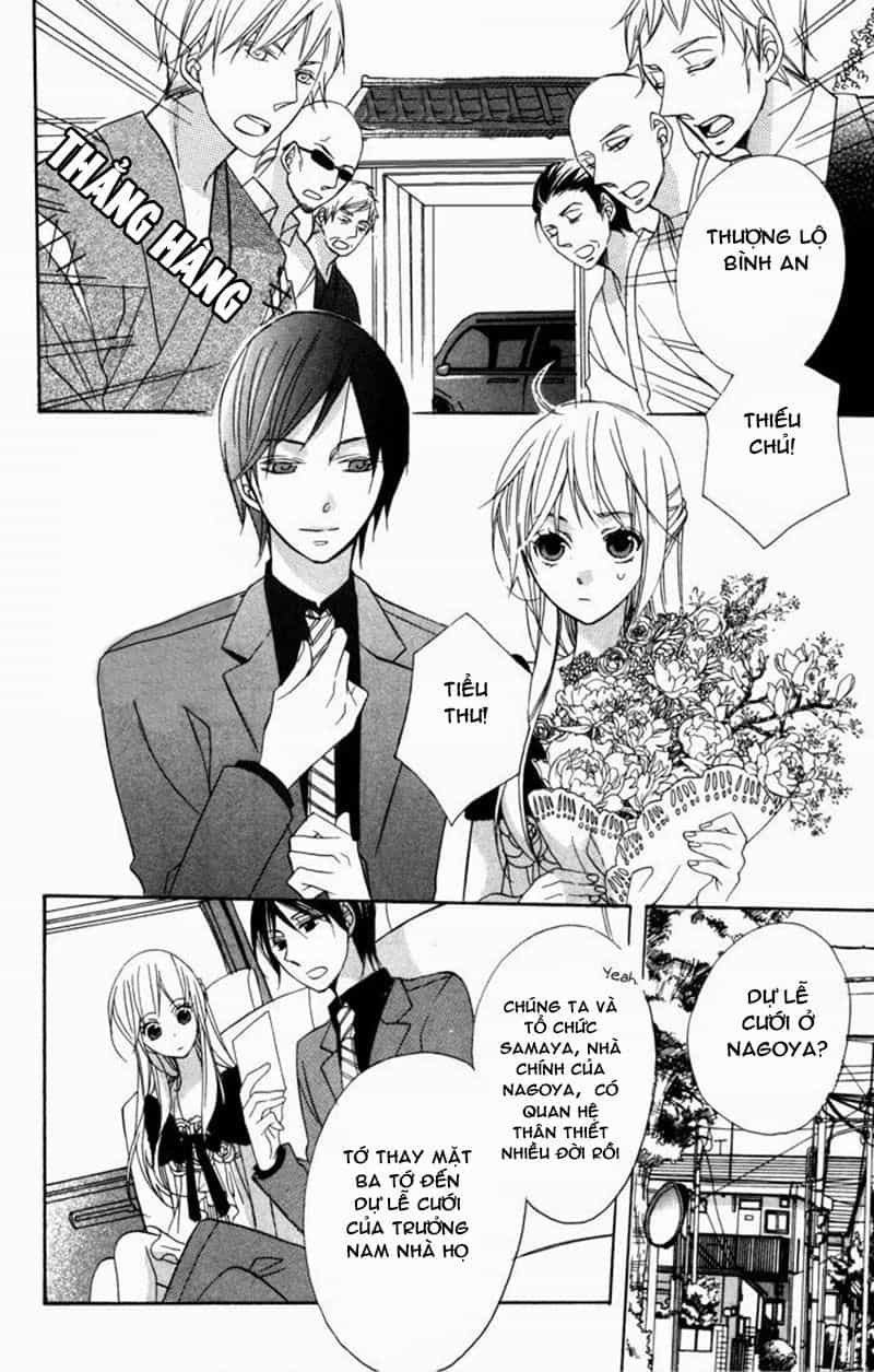 Hoa Hồng Hoang Dã - Chương 6 - ảnh 5