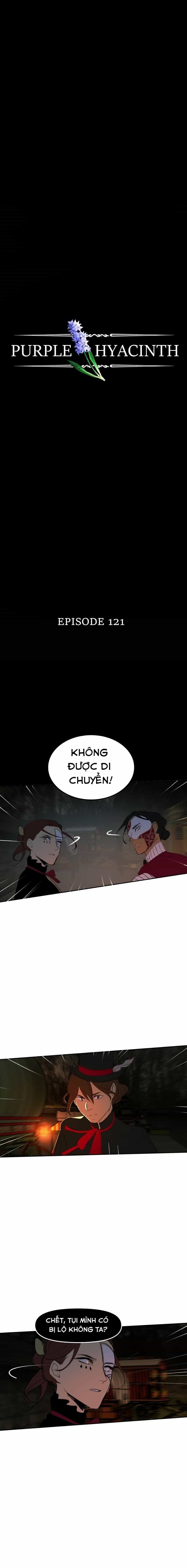 Hoa Lục Bình Tím - Chương 121 - ảnh 2