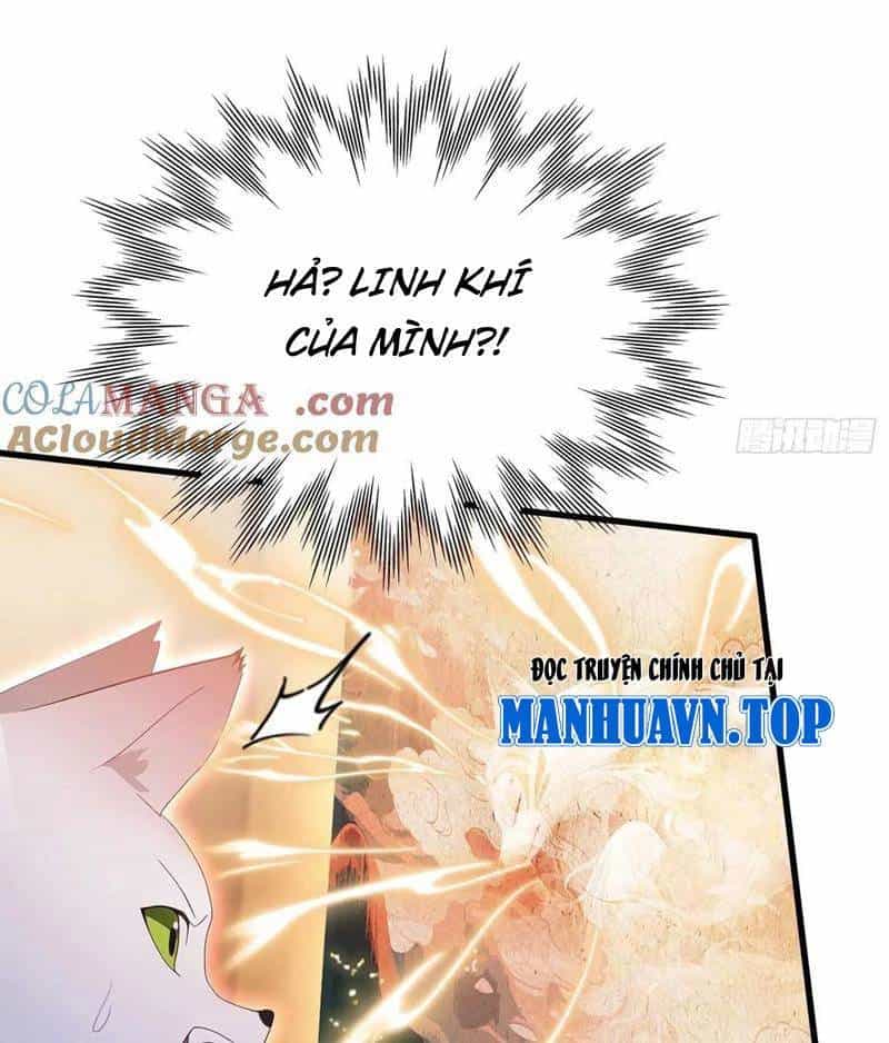 Hoá Ra Ta Đã Vô Địch Từ Lâu - Chương 178 - ảnh 3