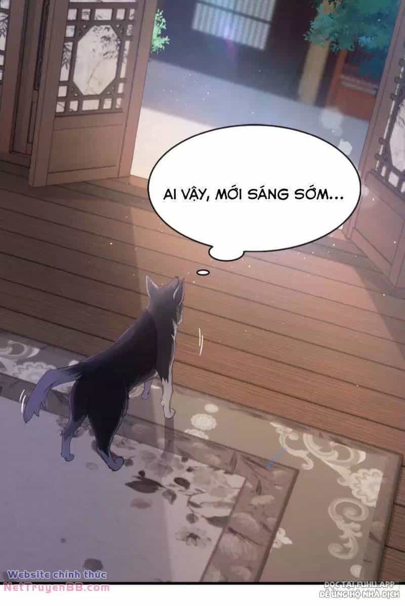 Hoá Ra Ta Đã Vô Địch Từ Lâu - Chương 23 - ảnh 30