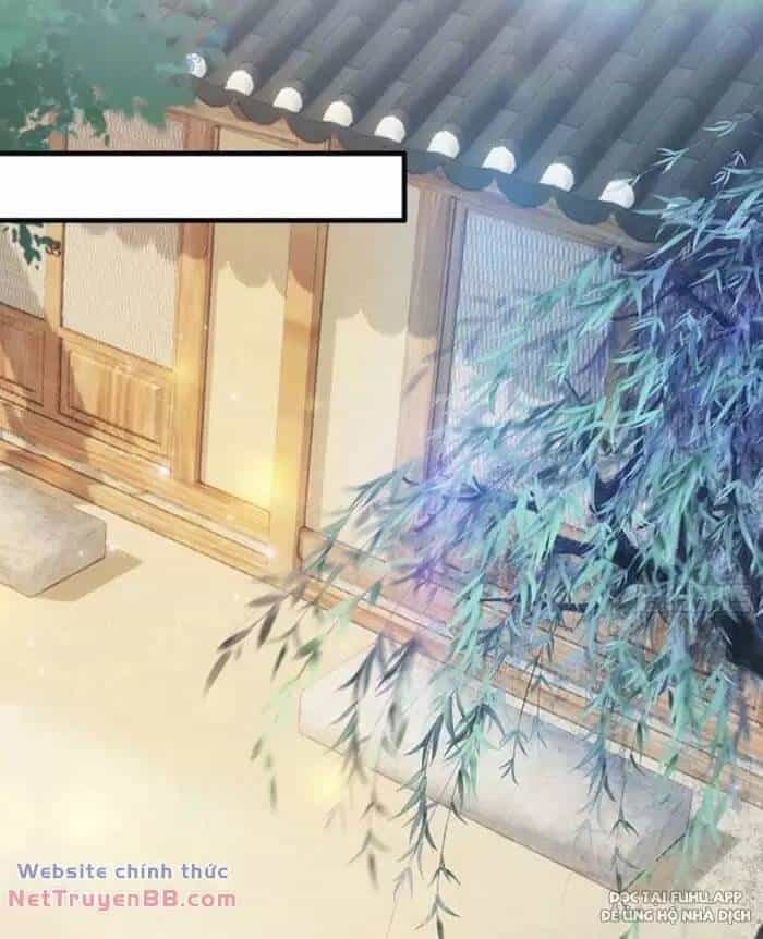 Hoá Ra Ta Đã Vô Địch Từ Lâu - Chương 25 - ảnh 21