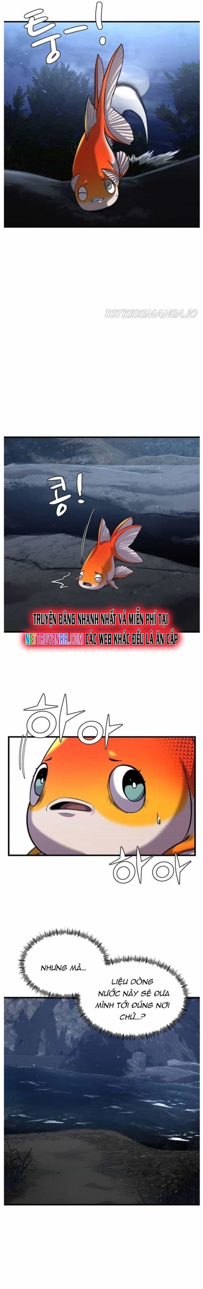 Hoá Thân Thành Cá - Chương 25 - ảnh 21