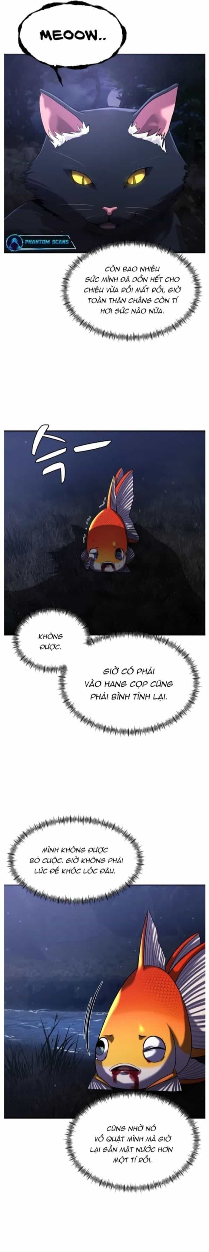 Hoá Thân Thành Cá - Chương 26 - ảnh 16