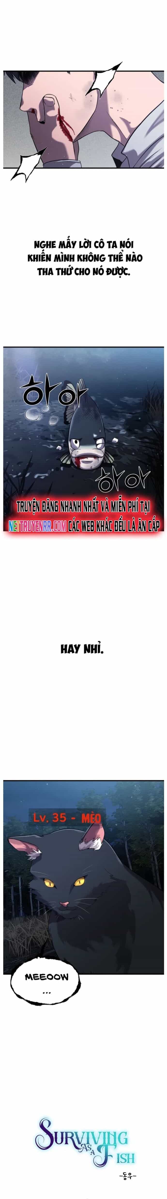 Hoá Thân Thành Cá - Chương 27 - ảnh 7
