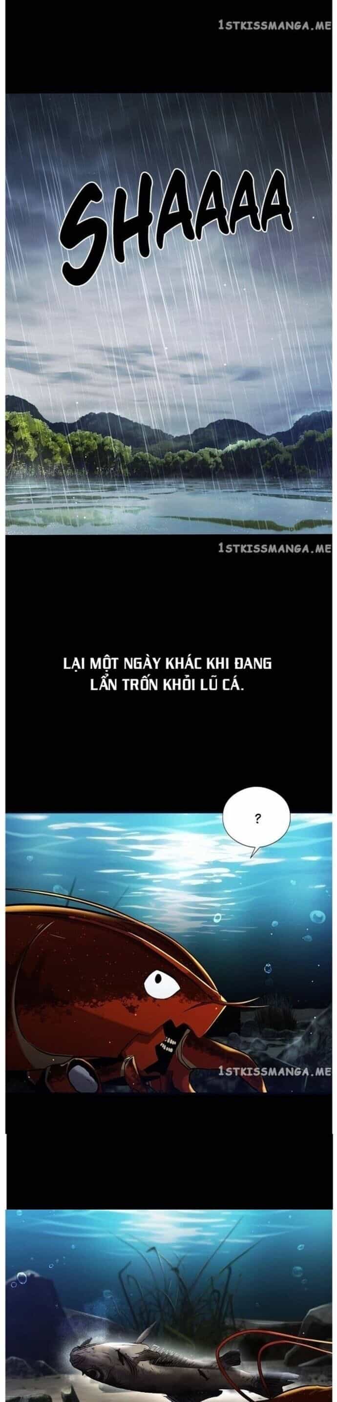 Hoá Thân Thành Cá - Chương 34 - ảnh 19