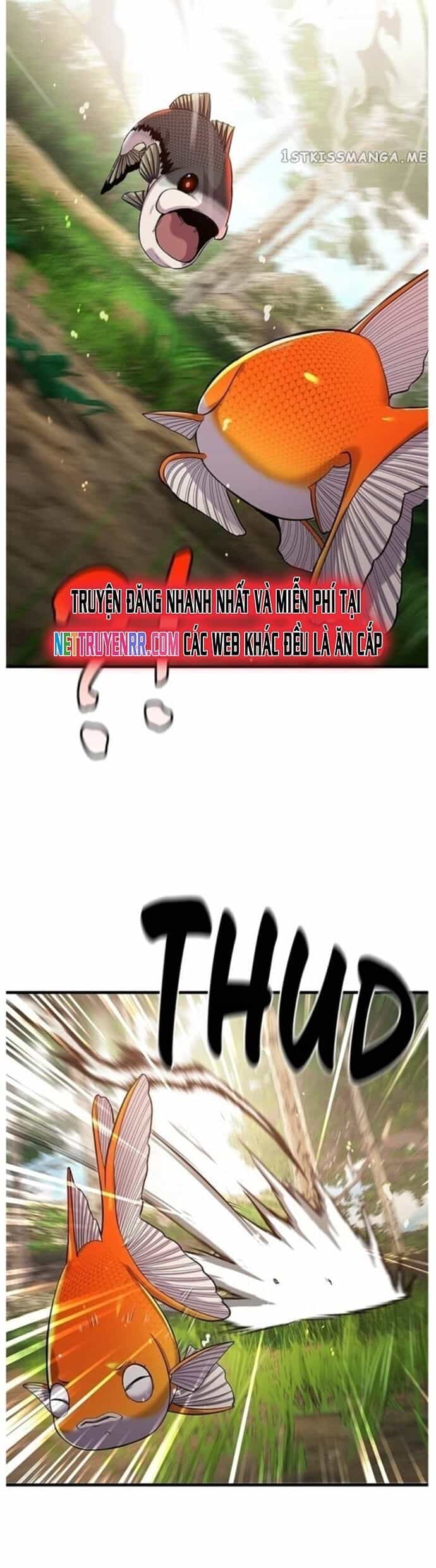 Hoá Thân Thành Cá - Chương 43 - ảnh 17