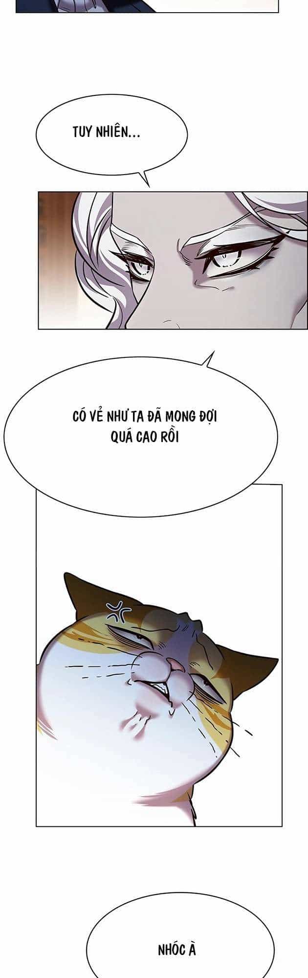 Hoá Thân Thành Mèo - Chương 246.1 - ảnh 25