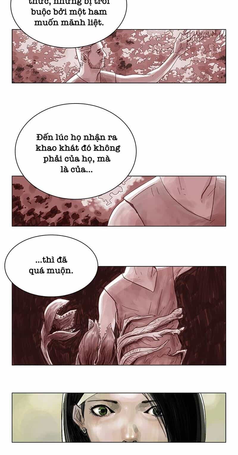 Hoa Tử Đỏ - Chương 6 - ảnh 14