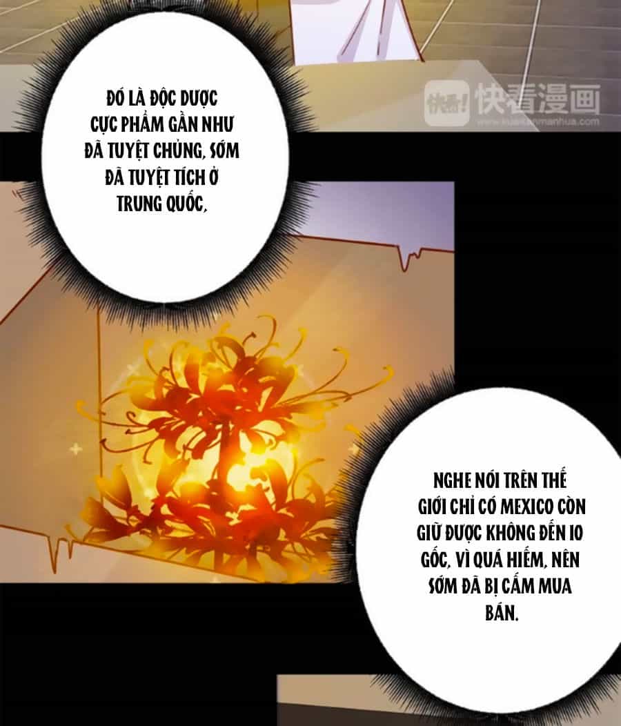Hoàng Thượng Ở Trên, Thần Ở Dưới - Chương 1 - ảnh 7