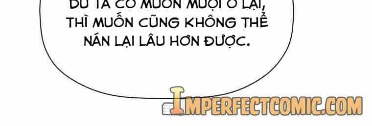 Học Giả Trở Lại - Chương 109 - ảnh 101