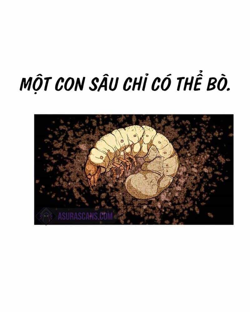 Hồi Quy Trở Lại Thành Kẻ Vô Dụng - Chương 33 - ảnh 74
