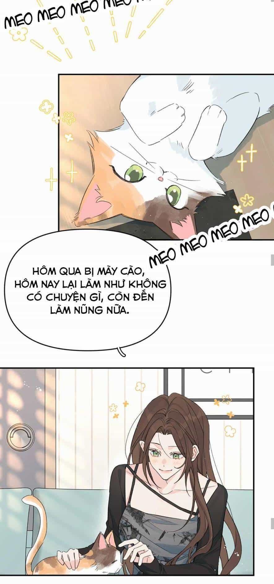 Hôm Nay Anh Có Lộ Bí Mật Chưa? - Chương 26 - ảnh 20