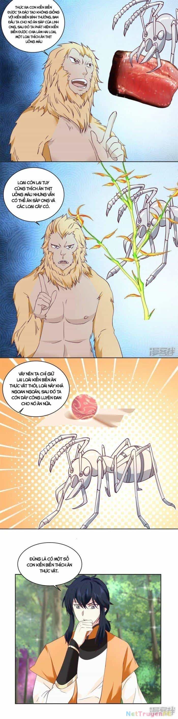 Hỗn Độn Đan Thần - Chương 346 - ảnh 7