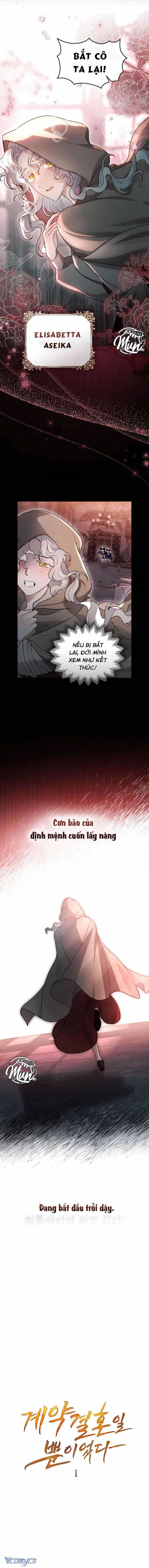 Hôn Nhân Khế Ước - Chương 1 - ảnh 3