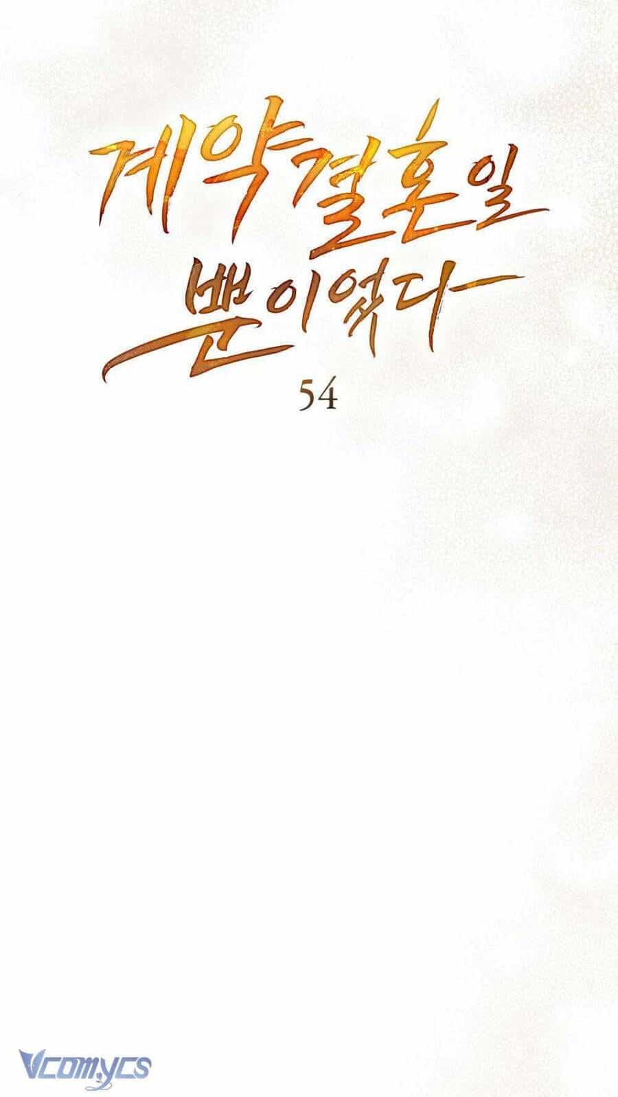Hôn Nhân Khế Ước - Chương 54 - ảnh 26