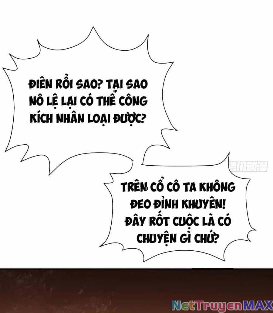 Hồng Long Dũng Giả Không Phải Người Lương Thiện - Chương 13 - ảnh 86