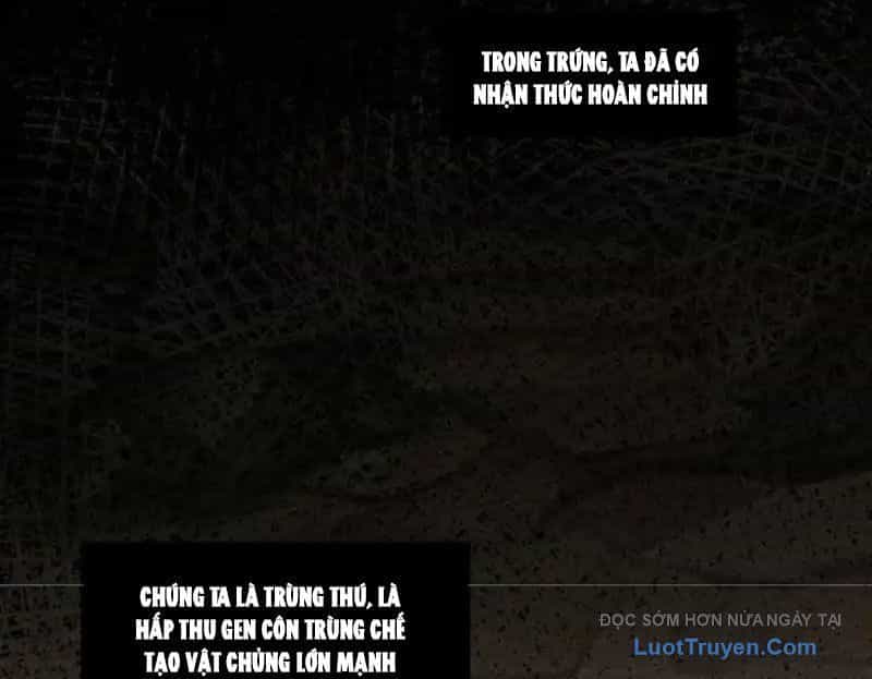 Hư Thực Chi Vương - Chương 41 - ảnh 17