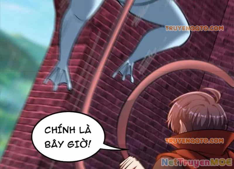Huyễn Thú Của Ta Có Thể Tiến Hoá Vô Hạn - Chương 23 - ảnh 75