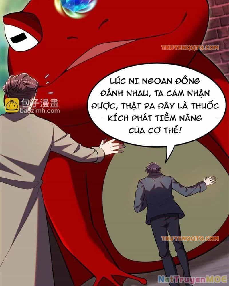 Huyễn Thú Của Ta Có Thể Tiến Hoá Vô Hạn - Chương 23 - ảnh 8