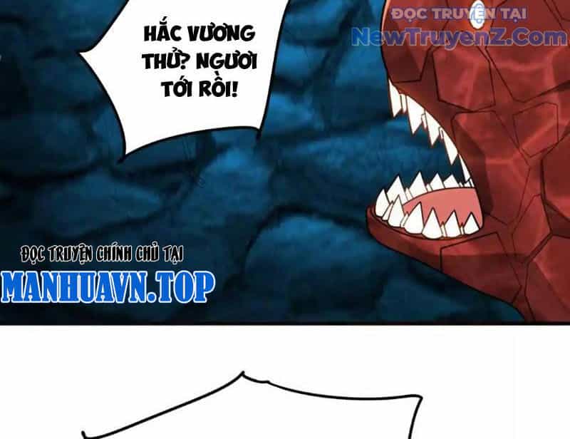 Huyễn Thú Của Ta Có Thể Tiến Hoá Vô Hạn - Chương 28 - ảnh 38