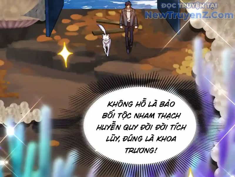 Huyễn Thú Của Ta Có Thể Tiến Hoá Vô Hạn - Chương 31 - ảnh 99
