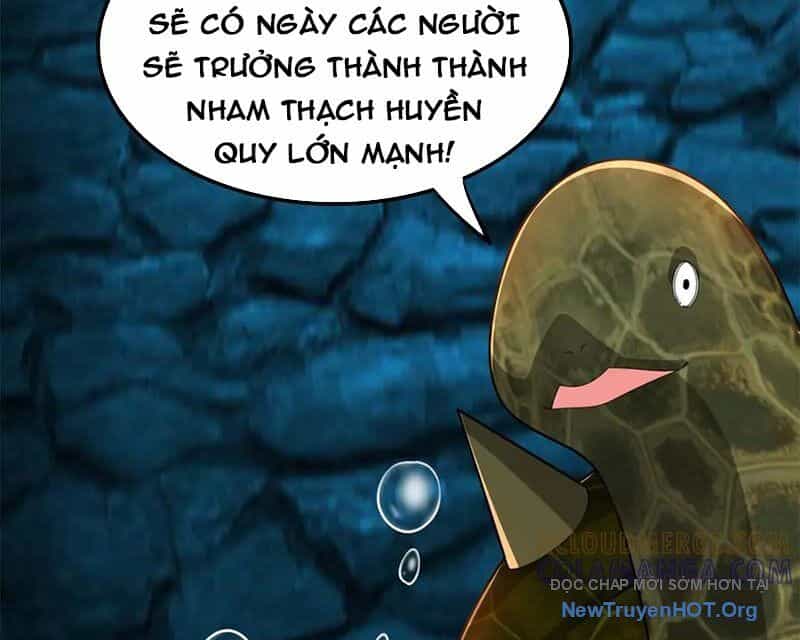 Huyễn Thú Của Ta Có Thể Tiến Hoá Vô Hạn - Chương 43 - ảnh 87