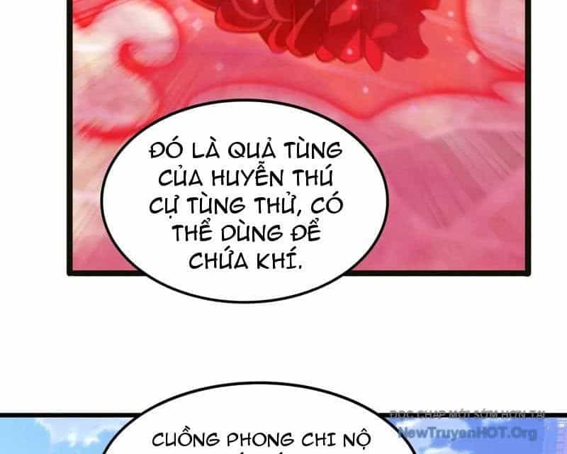 Huyễn Thú Của Ta Có Thể Tiến Hoá Vô Hạn - Chương 44 - ảnh 62