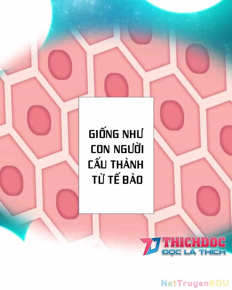Huyết Thánh Cứu Thế Chủ~ Ta Chỉ Cần 0.0000001% Đã Trở Thành Vô Địch - Chương 119 - ảnh 6