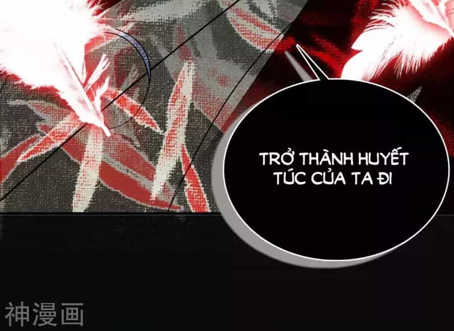 Huyết Túc Khế Ứớc - Chương 1 - ảnh 42