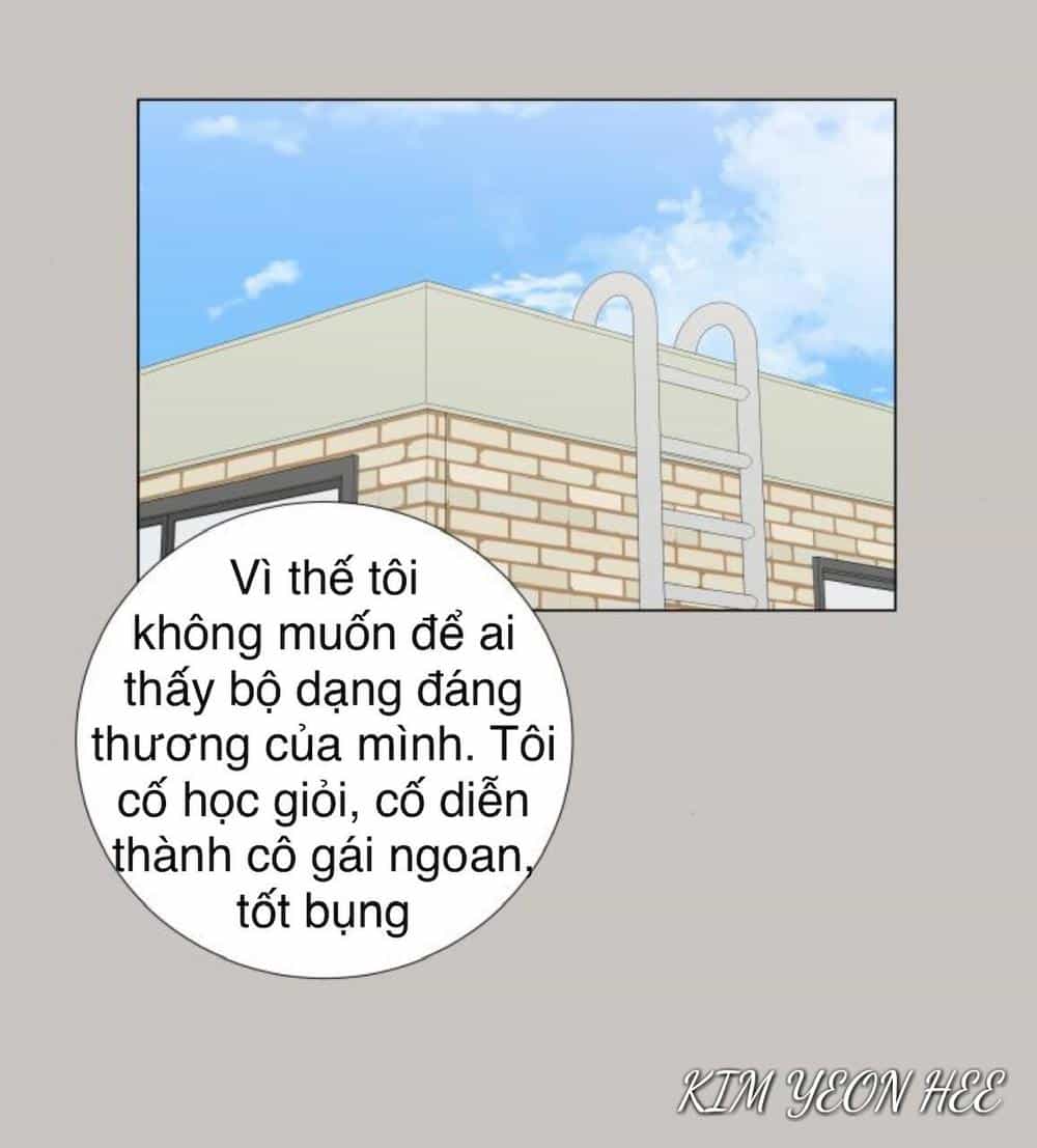 Idol Và Sếp Em Yêu Ai? - Chương 148 - ảnh 13
