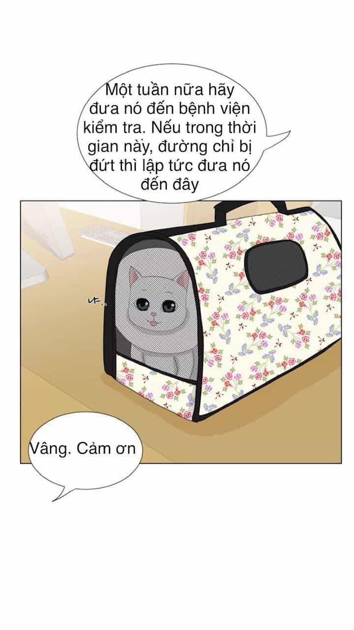 Idol Và Sếp Em Yêu Ai? - Chương 22 - ảnh 13