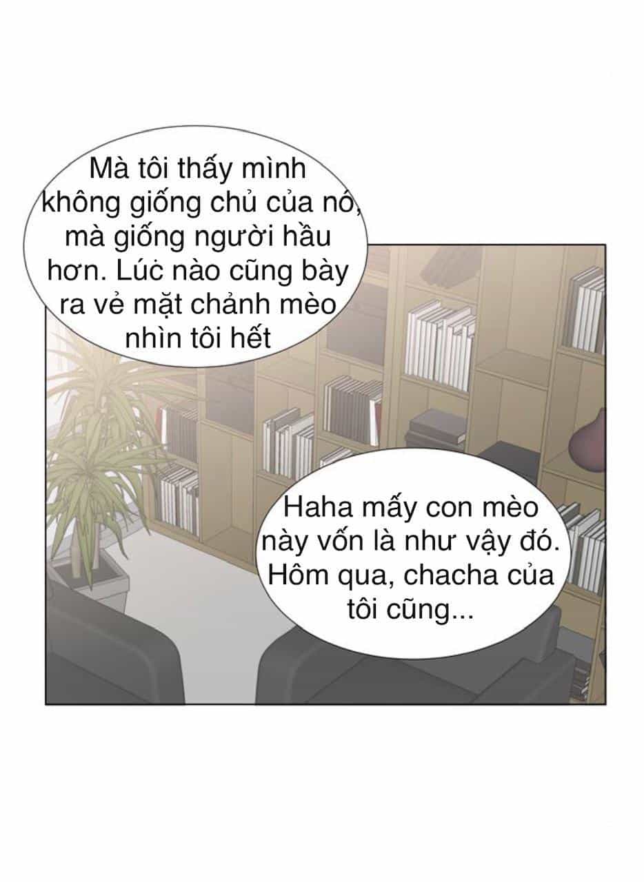 Idol Và Sếp Em Yêu Ai? - Chương 24 - ảnh 22