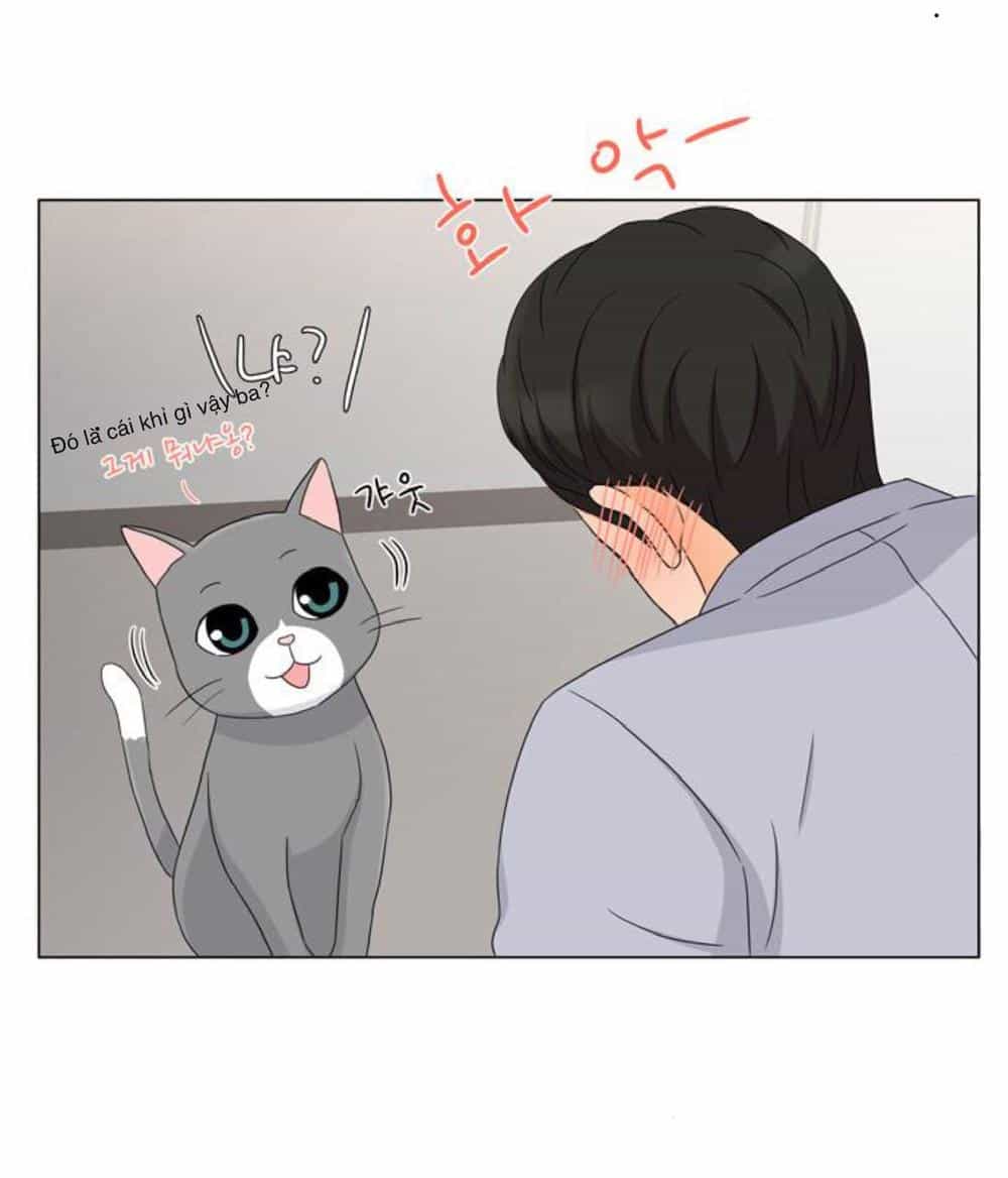 Idol Và Sếp Em Yêu Ai? - Chương 27 - ảnh 10