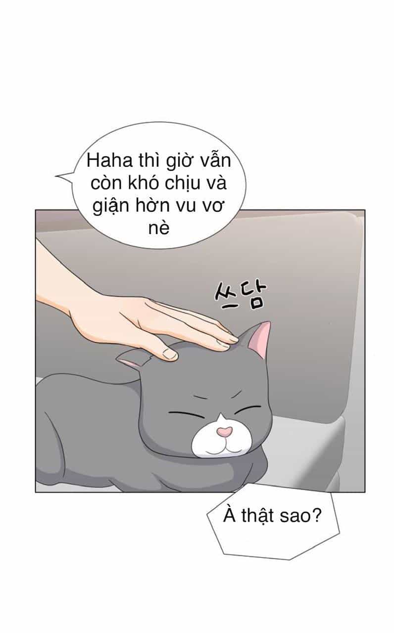 Idol Và Sếp Em Yêu Ai? - Chương 68 - ảnh 20
