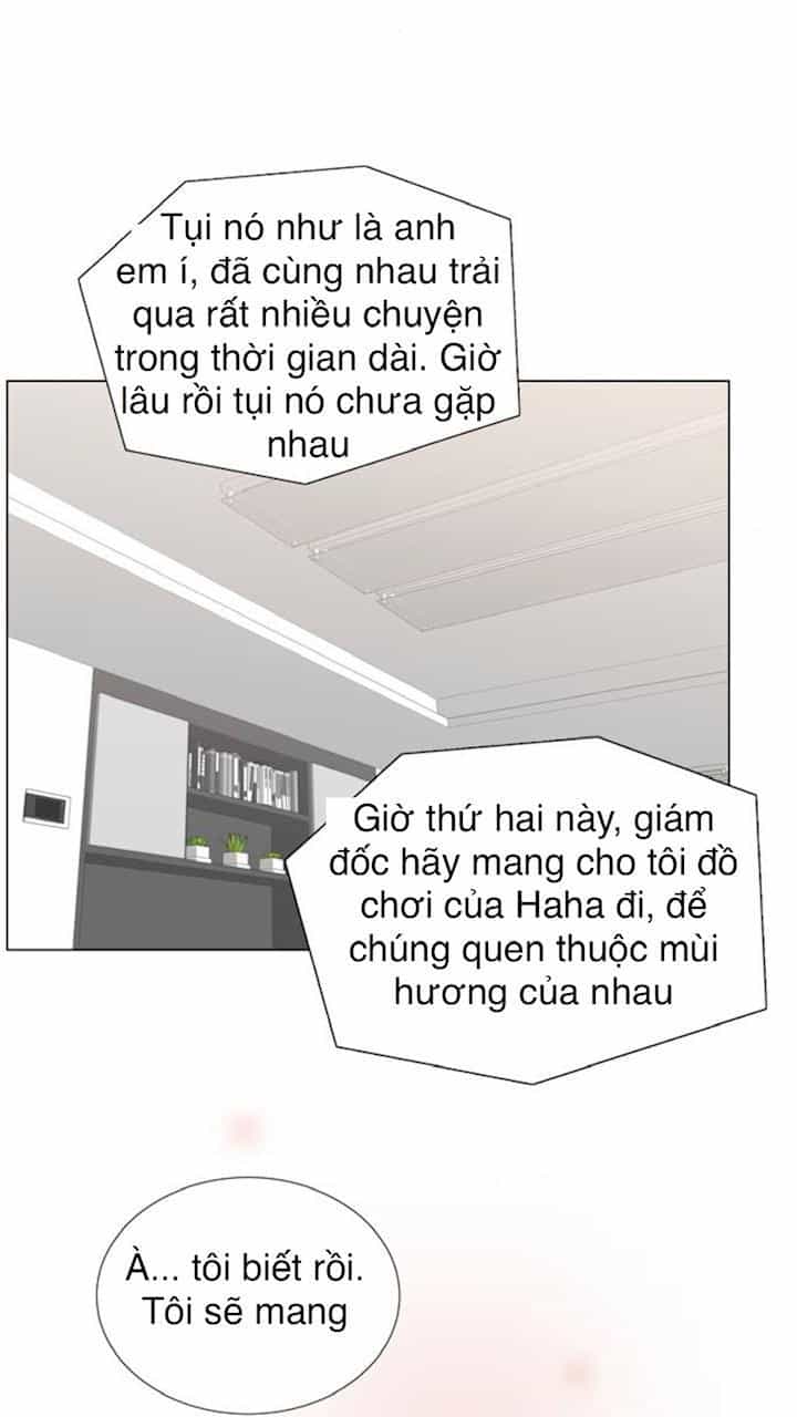 Idol Và Sếp Em Yêu Ai? - Chương 68 - ảnh 27