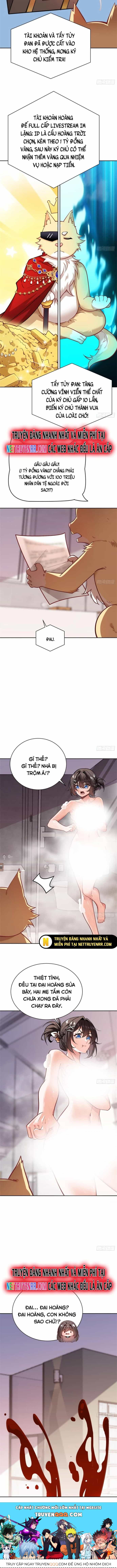Kế Hoạch Bồi Dưỡng Streamer Của Cẩu Hoàng - Chương 2 - ảnh 7