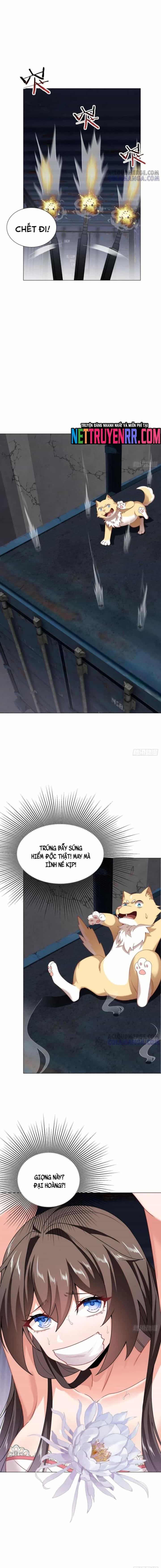 Kế Hoạch Bồi Dưỡng Streamer Của Cẩu Hoàng - Chương 19 - ảnh 13