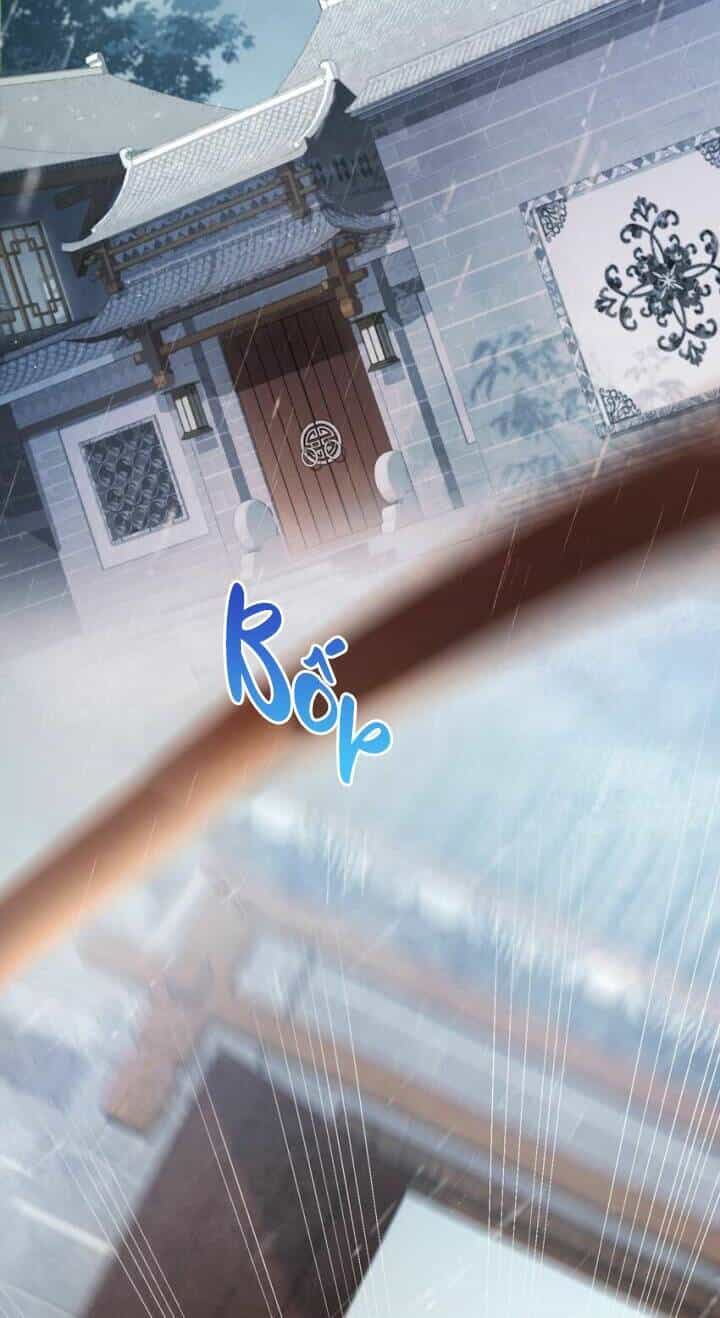 Kế Hoạch Nuôi Dưỡng Bệnh Kiều Vương Gia - Chương 1 - ảnh 2