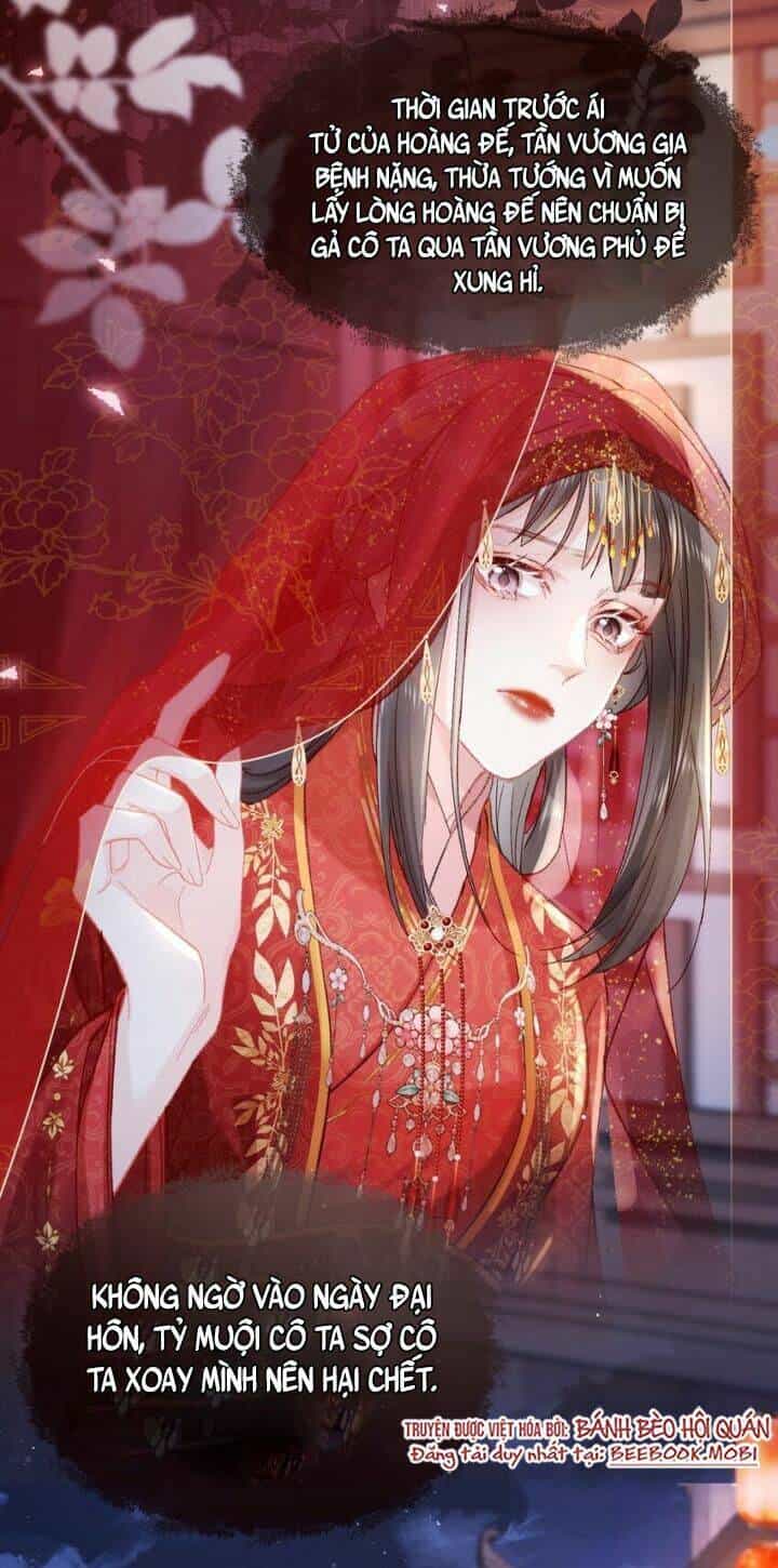 Kế Hoạch Nuôi Dưỡng Bệnh Kiều Vương Gia - Chương 1 - ảnh 37