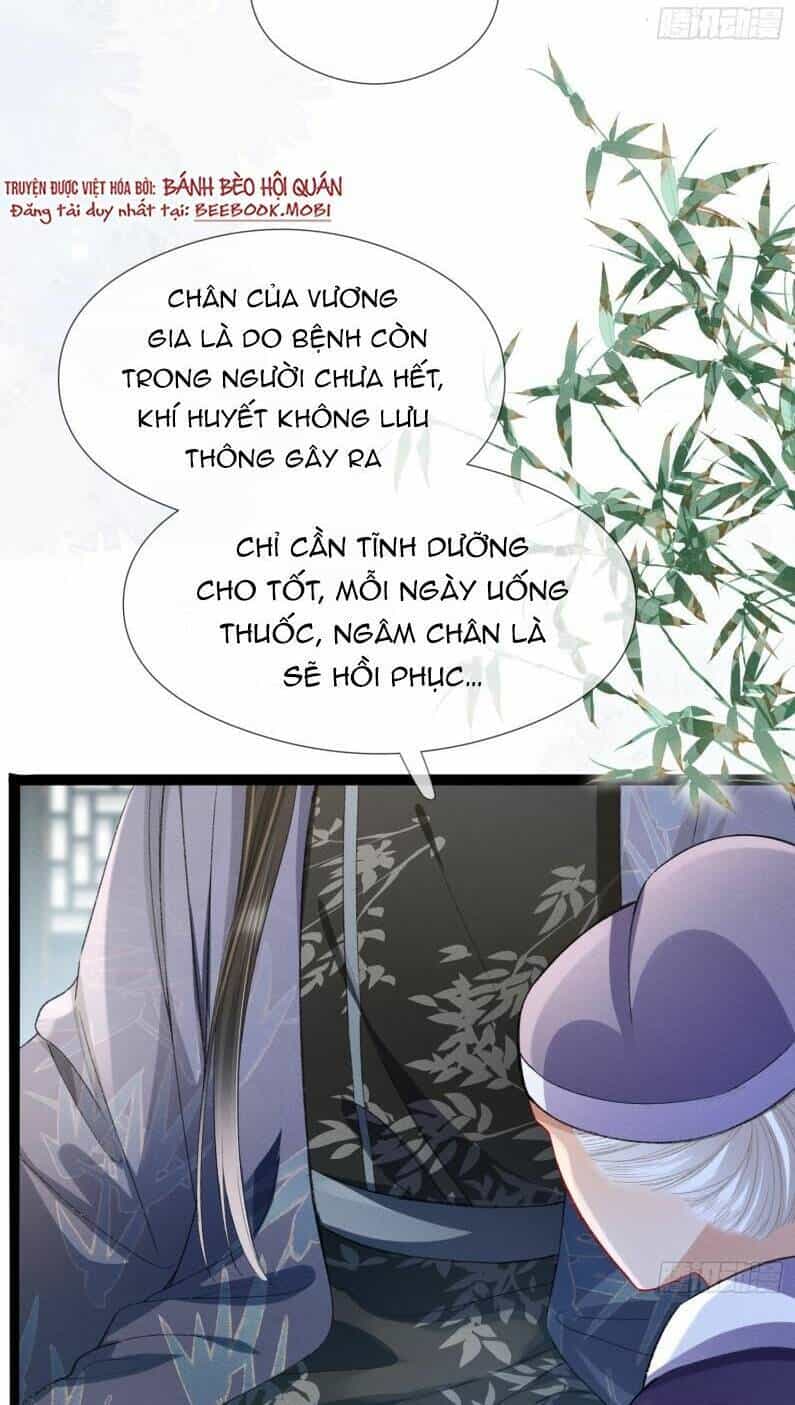 Kế Hoạch Nuôi Dưỡng Bệnh Kiều Vương Gia - Chương 5 - ảnh 26