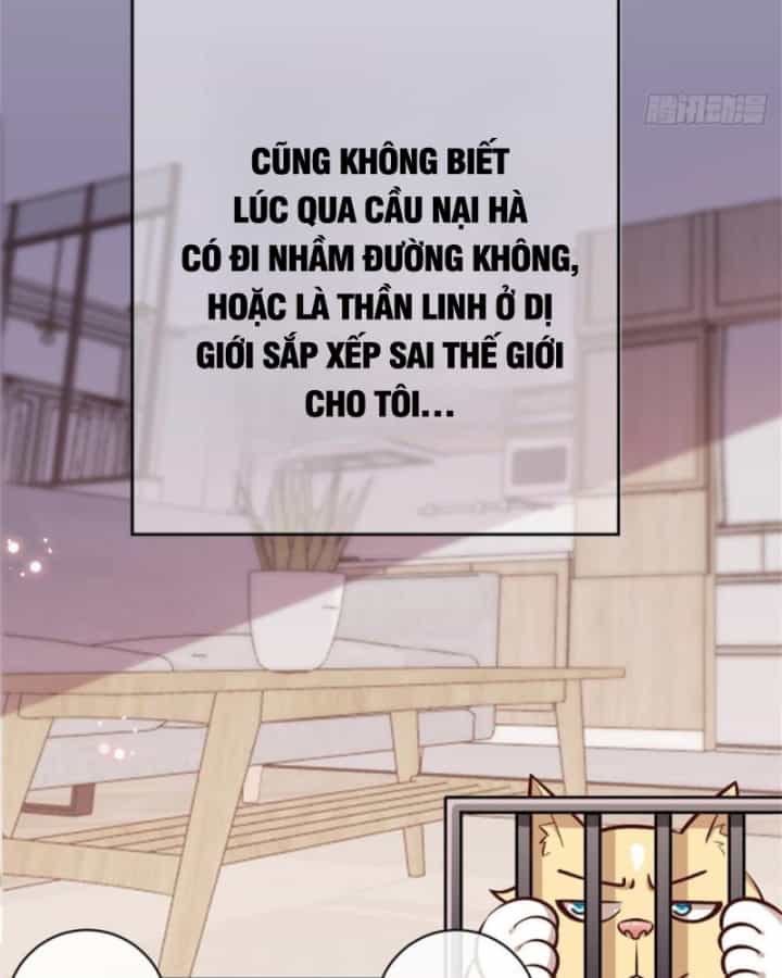 Kế Hoạch Nuôi Dưỡng Streamer Của Cẩu Hoàng - Chương 1 - ảnh 36