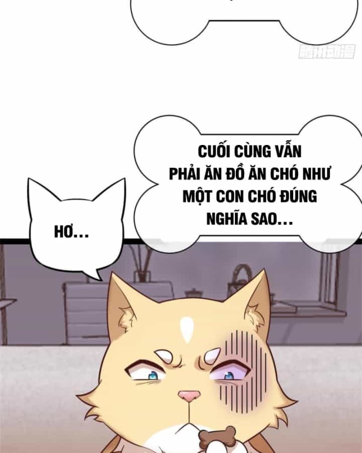 Kế Hoạch Nuôi Dưỡng Streamer Của Cẩu Hoàng - Chương 1 - ảnh 44