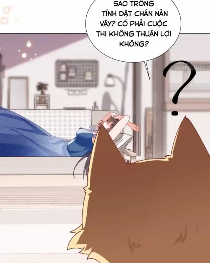 Kế Hoạch Nuôi Dưỡng Streamer Của Cẩu Hoàng - Chương 11 - ảnh 13