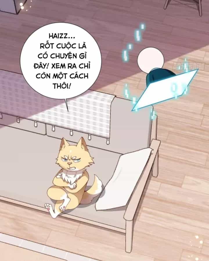 Kế Hoạch Nuôi Dưỡng Streamer Của Cẩu Hoàng - Chương 11 - ảnh 26