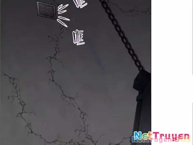 Kế Hoạch Nuôi Dưỡng Streamer Của Cẩu Hoàng - Chương 19 - ảnh 146