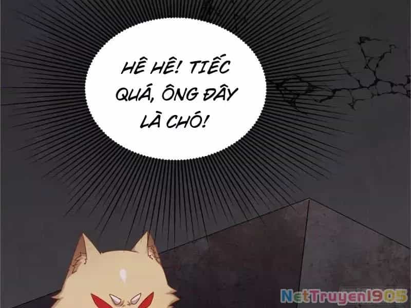 Kế Hoạch Nuôi Dưỡng Streamer Của Cẩu Hoàng - Chương 19 - ảnh 148