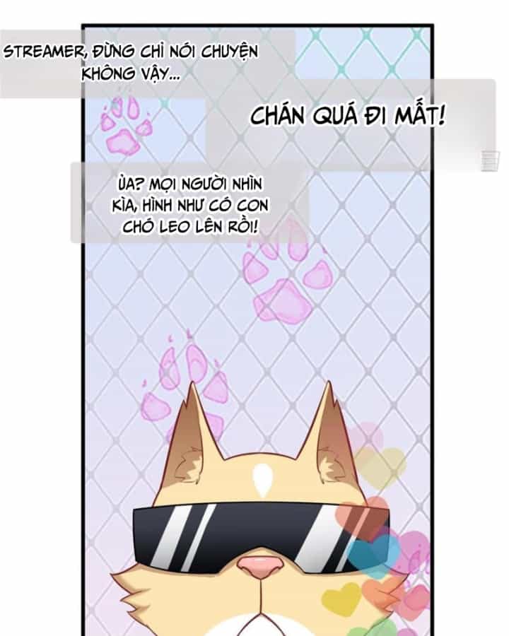 Kế Hoạch Nuôi Dưỡng Streamer Của Cẩu Hoàng - Chương 2 - ảnh 12