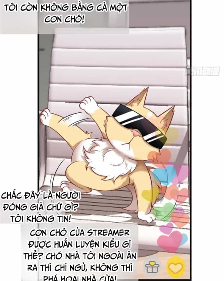 Kế Hoạch Nuôi Dưỡng Streamer Của Cẩu Hoàng - Chương 2 - ảnh 16