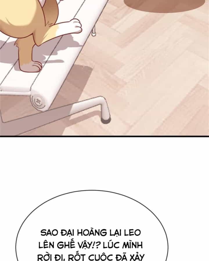 Kế Hoạch Nuôi Dưỡng Streamer Của Cẩu Hoàng - Chương 2 - ảnh 22
