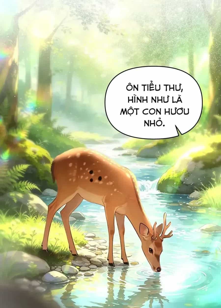 Kẻ Thù Hoàn Hảo - Chương 4 - ảnh 37